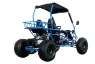 RAPTOR 150cc Semi Auto Buggy Teens & Adults Off Road Go Kart ATV Quad BLUE RAPTOR 150cc Semi Auto Buggy Teens & Adults Off Road Go Kart ATV Quad BLUE