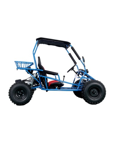 RAPTOR 150cc Semi Auto Buggy Teens & Adults Off Road Go Kart ATV Quad BLUE RAPTOR 150cc Semi Auto Buggy Teens & Adults Off Road Go Kart ATV Quad BLUE