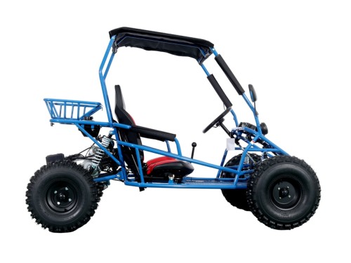 RAPTOR 150cc Semi Auto Buggy Teens & Adults Off Road Go Kart ATV Quad BLUE RAPTOR 150cc Semi Auto Buggy Teens & Adults Off Road Go Kart ATV Quad BLUE