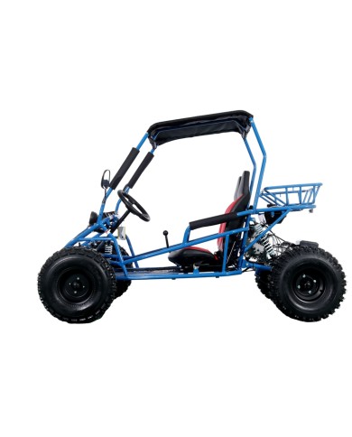 RAPTOR 150cc Semi Auto Buggy Teens & Adults Off Road Go Kart ATV Quad BLUE RAPTOR 150cc Semi Auto Buggy Teens & Adults Off Road Go Kart ATV Quad BLUE