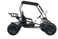 RAPTOR 150cc Semi Auto Buggy Teens & Adults Off Road Go Kart ATV Quad BLACK RAPTOR 150cc Semi Auto Buggy Teens & Adults Off Road Go Kart ATV Quad BLACK