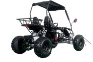 RAPTOR 150cc Semi Auto Buggy Teens & Adults Off Road Go Kart ATV Quad BLACK RAPTOR 150cc Semi Auto Buggy Teens & Adults Off Road Go Kart ATV Quad BLACK