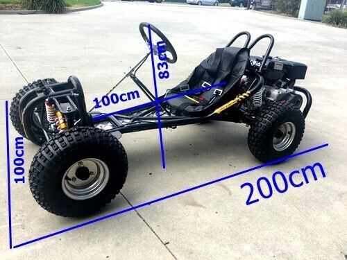 Torque270 Go Kart 9hp 270cc Teen Adult Off Road Buggy Torque Converter E-starter Torque270 Go Kart 9hp 270cc Teen Adult Off Road Buggy Torque Converter E-starter