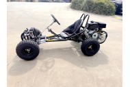 Torque270 Go Kart 9hp 270cc Teen Adult Off Road Buggy Torque Converter E-starter Torque270 Go Kart 9hp 270cc Teen Adult Off Road Buggy Torque Converter E-starter