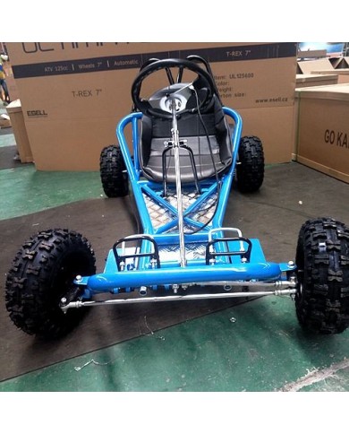 200CC 6.5HP Go Kart Dune Buggy QUAD 4 Stroke Upgraded Adult/Kids Sizes