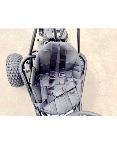 Torque270 Go Kart 9hp 270cc Teen Adult Off Road Buggy Torque Converter E-starter