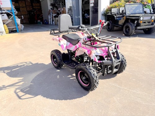 WILDFORCE49 49CC FARM QUAD BIKE ATV BUGGY KIDS 4 WHEELER HUASHENG 2-STROKE PINK