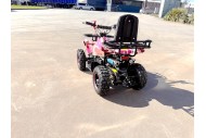 WILDFORCE49 49CC FARM QUAD BIKE ATV BUGGY KIDS 4 WHEELER HUASHENG 2-STROKE PINK