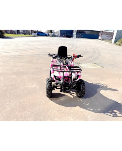 WILDFORCE49 49CC FARM QUAD BIKE ATV BUGGY KIDS 4 WHEELER HUASHENG 2-STROKE PINK WILDFORCE49 49CC FARM QUAD BIKE ATV BUGGY KIDS 4 WHEELER HUASHENG 2-STROKE PINK