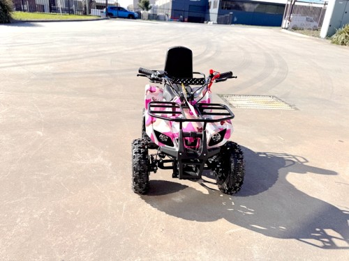 WILDFORCE49 49CC FARM QUAD BIKE ATV BUGGY KIDS 4 WHEELER HUASHENG 2-STROKE PINK