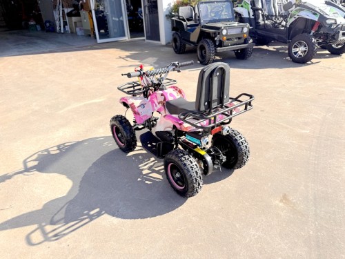 WILDFORCE49 49CC FARM QUAD BIKE ATV BUGGY KIDS 4 WHEELER HUASHENG 2-STROKE PINK
