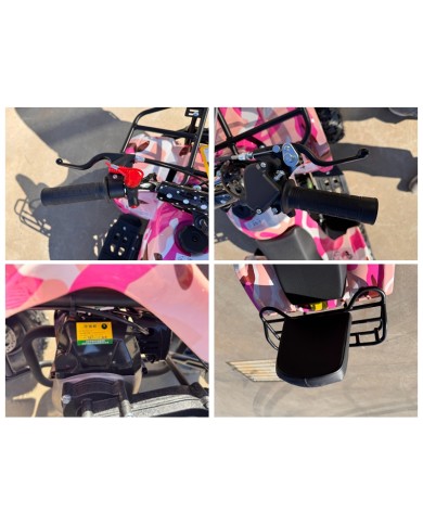 WILDFORCE49 49CC FARM QUAD BIKE ATV BUGGY KIDS 4 WHEELER HUASHENG 2-STROKE PINK WILDFORCE49 49CC FARM QUAD BIKE ATV BUGGY KIDS 4 WHEELER HUASHENG 2-STROKE PINK