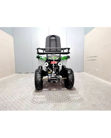WILDFORCE49 49CC FARM QUAD BIKE ATV BUGGY KIDS 4 WHEELER HUASHENG 2-STROKE MJ MOTORGREEN WILDFORCE49 49CC FARM QUAD BIKE ATV BUGGY KIDS 4 WHEELER HUASHENG 2-STROKE MJ MOTORGREEN