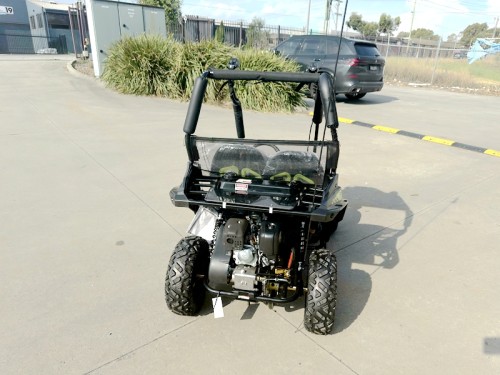 FORZA 1 K1 Dune Buggy 163CC 5.5HP Off Road UTV ATV 2 Seater 4 Wheel Go kart REV Green