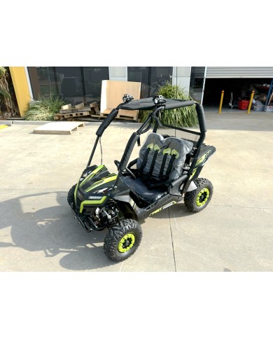 FORZA 1 K1 Dune Buggy 163CC 5.5HP Off Road UTV ATV 2 Seater 4 Wheel Go kart REV Green