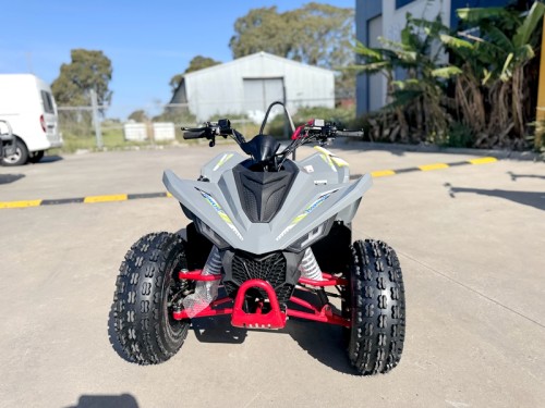 150CC ATV Sport Quad 4 Wheel Buggy Semi Auto ZOOMER GREY kids Adults Off-road