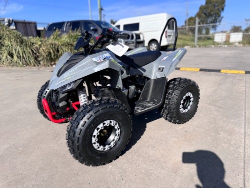 150CC ATV Sport Quad 4 Wheel Buggy Semi Auto ZOOMER GREY kids Adults Off-road