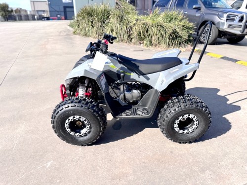 150CC ATV Sport Quad 4 Wheel Buggy Semi Auto ZOOMER GREY kids Adults Off-road