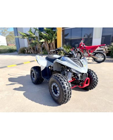 150CC ATV Sport Quad 4 Wheel Buggy Semi Auto ZOOMER GREY kids Adults Off-road