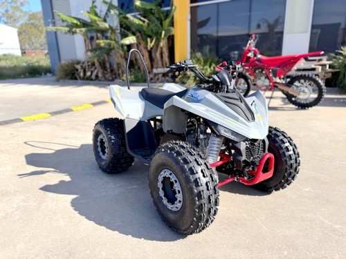 150CC ATV Sport Quad 4 Wheel Buggy Semi Auto ZOOMER GREY kids Adults Off-road