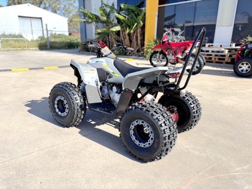 150CC ATV Sport Quad 4 Wheel Buggy Semi Auto ZOOMER GREY kids Adults Off-road
