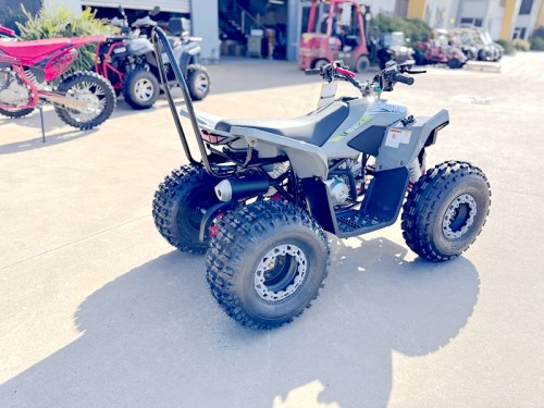 150CC ATV Sport Quad 4 Wheel Buggy Semi Auto ZOOMER GREY kids Adults Off-road