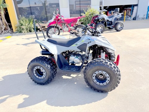 150CC ATV Sport Quad 4 Wheel Buggy Semi Auto ZOOMER GREY kids Adults Off-road