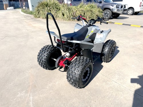 150CC ATV Sport Quad 4 Wheel Buggy Semi Auto ZOOMER GREY kids Adults Off-road