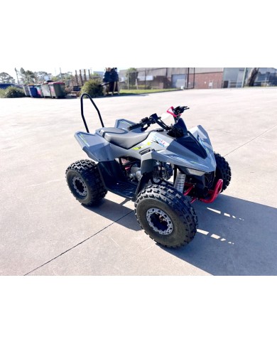 150CC ATV Sport Quad 4 Wheel Buggy Semi Auto ZOOMER GREY kids Adults Off-road