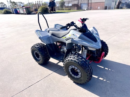 150CC ATV Sport Quad 4 Wheel Buggy Semi Auto ZOOMER GREY kids Adults Off-road