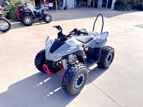 150CC ATV Sport Quad 4 Wheel Buggy Semi Auto ZOOMER GREY kids Adults Off-road