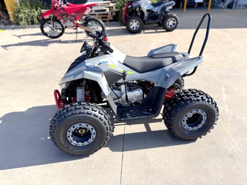 150CC ATV Sport Quad 4 Wheel Buggy Semi Auto ZOOMER GREY kids Adults Off-road
