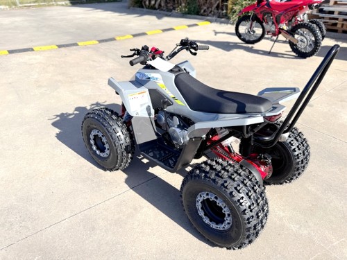150CC ATV Sport Quad 4 Wheel Buggy Semi Auto ZOOMER GREY kids Adults Off-road