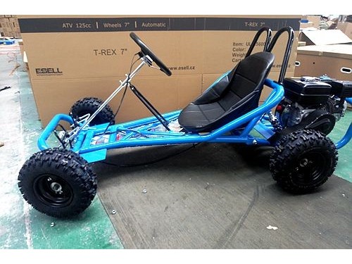 200CC 6.5HP Go Kart Dune Buggy QUAD 4 Stroke Upgraded Adult/Kids Sizes