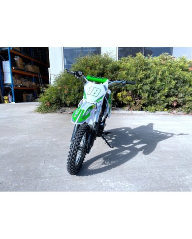 110cc Dirt Bike Trail Pit Bike Motor Electric Start Semi Auto Junior Bike Kid Green