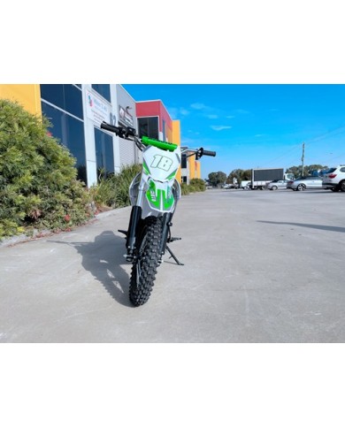 110cc Dirt Bike Trail Pit Bike Motor Electric Start Semi Auto Junior Bike Kid Green