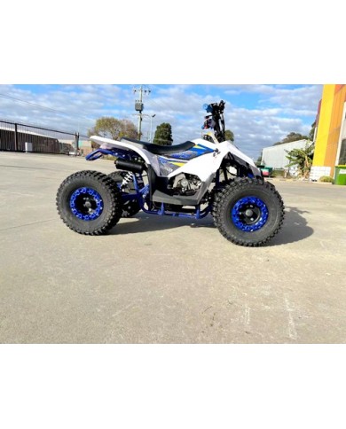 125CC ATV Quad Sport Dirt Bike 4 Wheel Buggy Go kart Rear Rack Semi Auto 1+1 BLUE