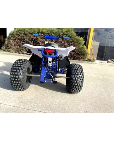 125CC ATV Quad Sport Dirt Bike 4 Wheel Buggy Go kart Rear Rack Semi Auto 1+1 BLUE