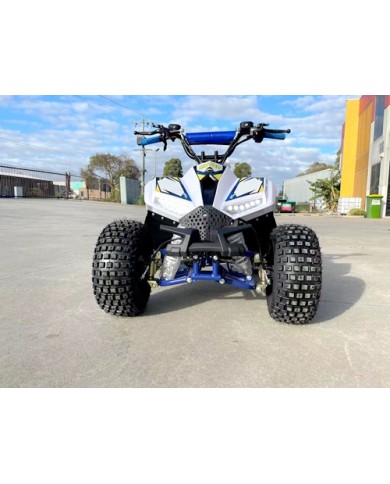125CC ATV Quad Sport Dirt Bike 4 Wheel Buggy Go kart Rear Rack Semi Auto 1+1 BLUE