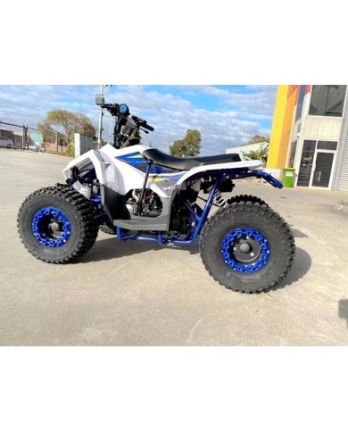 125CC ATV Quad Sport Dirt Bike 4 Wheel Buggy Go kart Rear Rack Semi Auto 1+1 BLUE