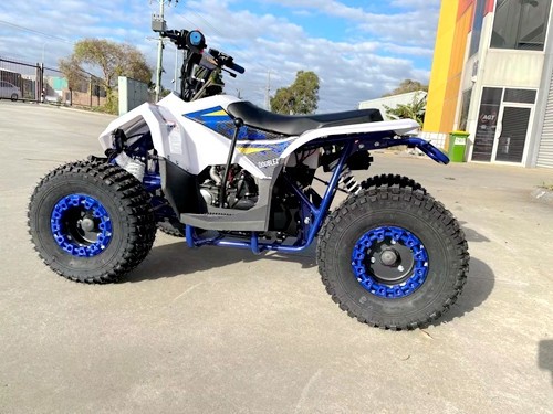 125CC ATV Quad Sport Dirt Bike 4 Wheel Buggy Go kart Rear Rack Semi Auto 1+1 BLUE