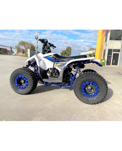 125CC ATV Quad Sport Dirt Bike 4 Wheel Buggy Go kart Rear Rack Semi Auto 1+1 BLUE