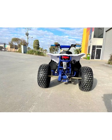 125CC ATV Quad Sport Dirt Bike 4 Wheel Buggy Go kart Rear Rack Semi Auto 1+1 BLUE
