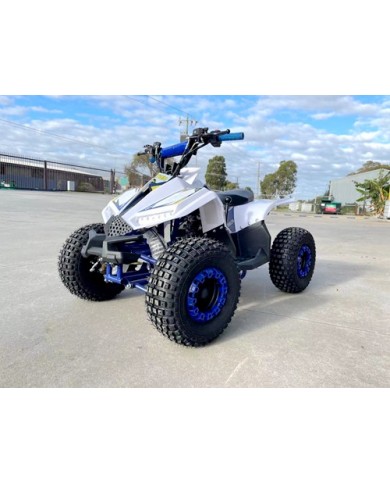 125CC ATV Quad Sport Dirt Bike 4 Wheel Buggy Go kart Rear Rack Semi Auto 1+1 BLUE