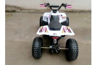 125CC ATV Quad Sport Dirt Bike 4 Wheel Buggy Go kart Rear Rack Semi Auto 1+1 PINK