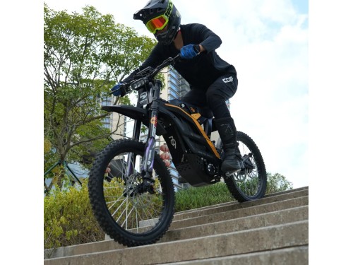79BIKE FALCON PRO Electric Dirt Bike 10KW 72V 35Ah 90km/h Off Road 120km Range