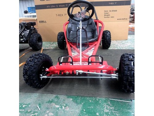 200CC 6.5HP Go Kart Dune Buggy QUAD 4 Stroke Upgraded Adult/Kids Sizes