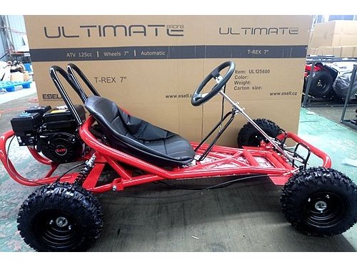 200CC 6.5HP Go Kart Dune Buggy QUAD 4 Stroke Upgraded Adult/Kids Sizes