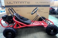 200CC 6.5HP Go Kart Dune Buggy QUAD 4 Stroke Upgraded Adult/Kids Sizes