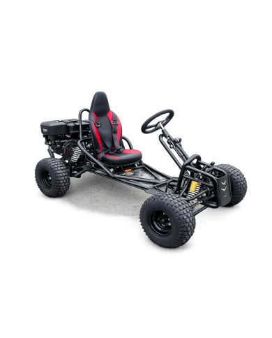 Torque420X Go Kart 15hp 420cc Teen Adult Off Road Buggy Torque Converter E-starter